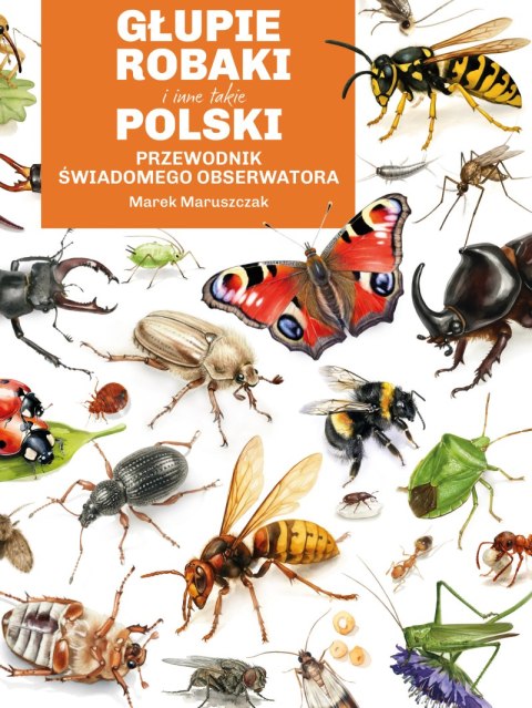 Głupie robaki i inne takie. Polski przewodnik świadomego obserwatora