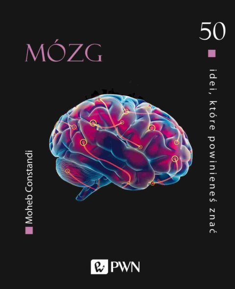 Mózg. 50 idei, które powinieneś znać