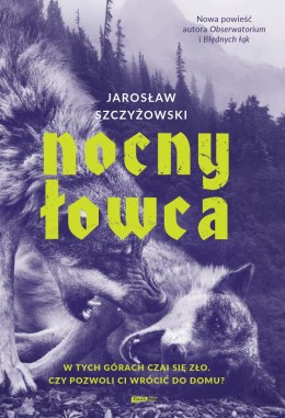 Nocny łowca