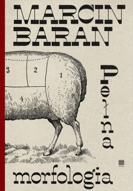 Pełna morfologia