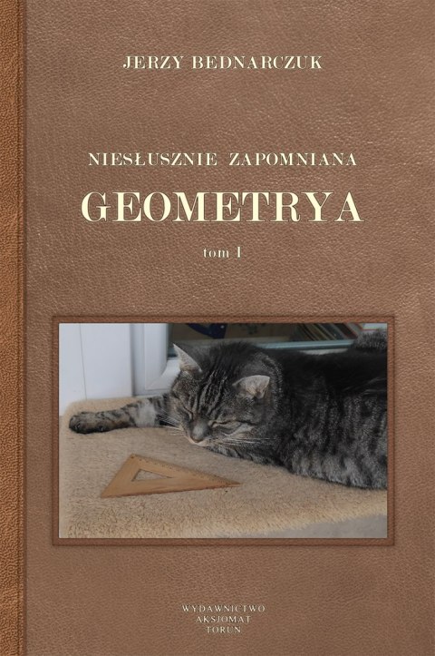 Niesłusznie zapomniana geometria tom I