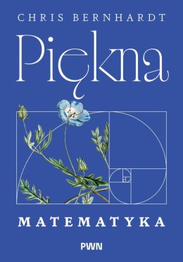 Piękna matematyka. Zaskakująco proste pomysły stojące za rewolucją cyfrową w naszym życiu, pracy i komunikacji