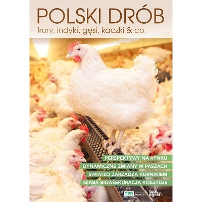 Polski drób kury, indyki, gęsi, kaczki & co.