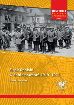 Śląsk Opolski w dobie powstań 1919-1921. Studia i materiały