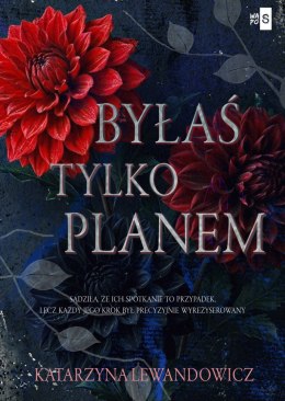 Byłaś tylko planem