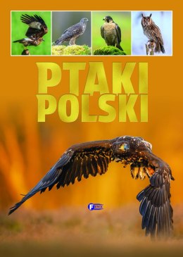 Ptaki Polski